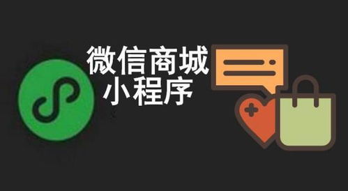 做小程序 選擇小程序開(kāi)發(fā)商的參考要素